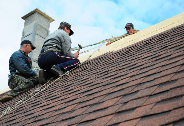 Best Roof Restoration Services  in English, IN